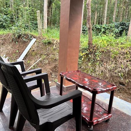 Silver Shadow Homestay Chikmagalur Bagian luar foto