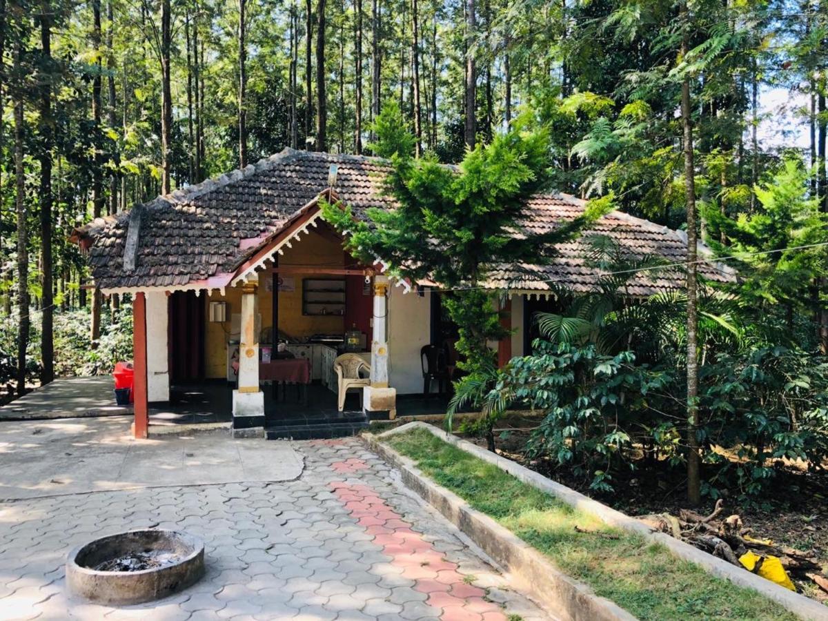 Silver Shadow Homestay Chikmagalur Bagian luar foto